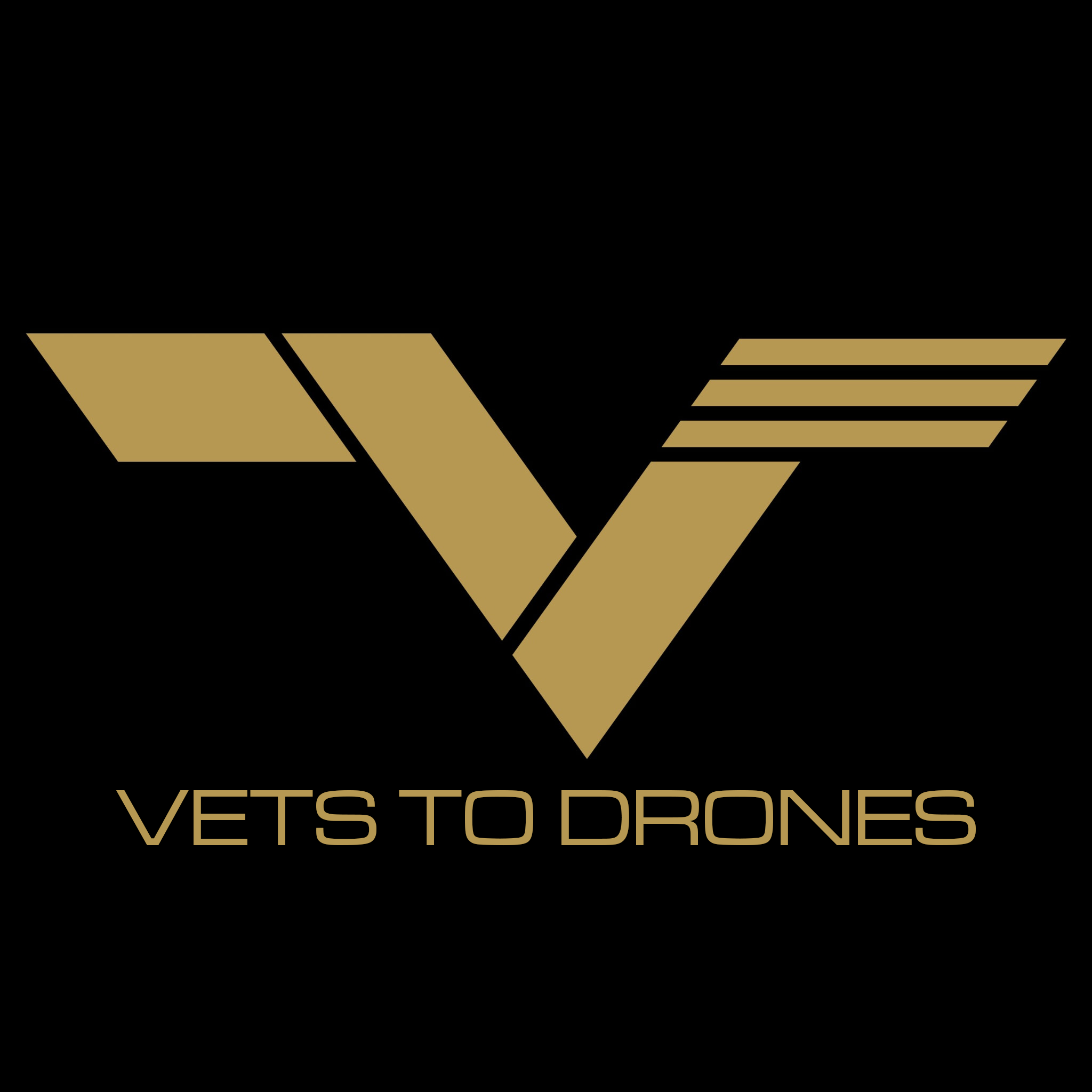 Vets to Drones